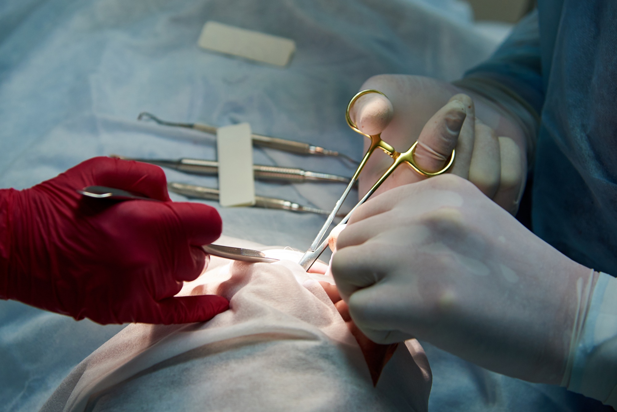Surgery in a dental clinic